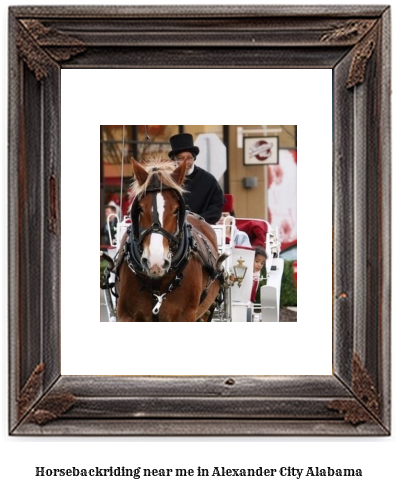 horseback riding near me in Alexander City, Alabama